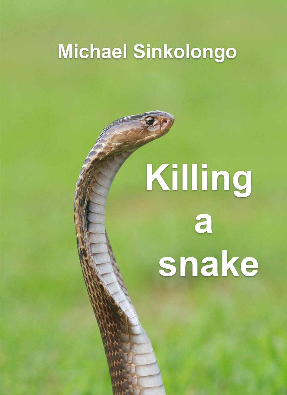 Killing a Snake